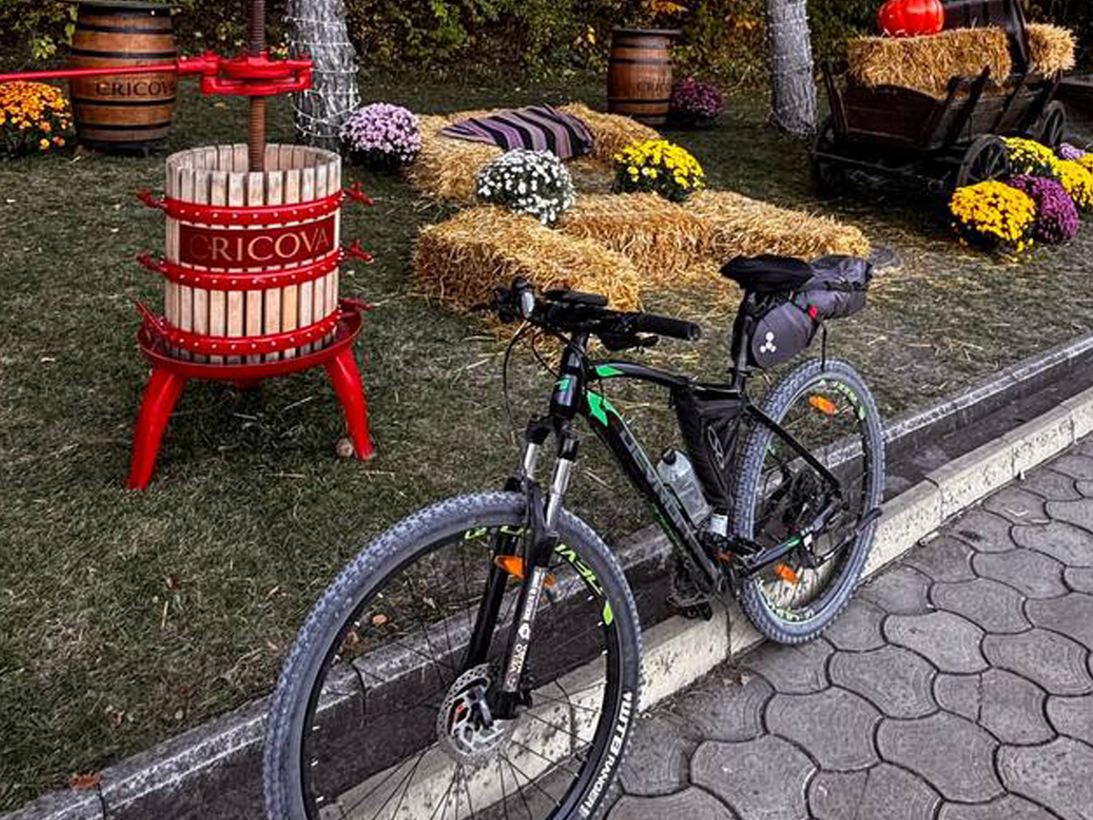 Cicliști în podgoriile Moldovei